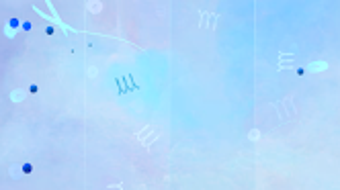 Imagem 0 para 