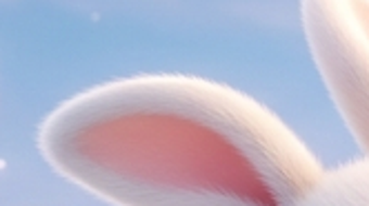 Imagem 0 para 