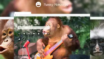 Funny Monkeys HD Wallpapers New Tab Theme