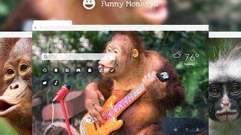 Funny Monkeys HD Wallpapers New Tab Theme