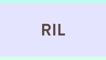 Image 0 pour 