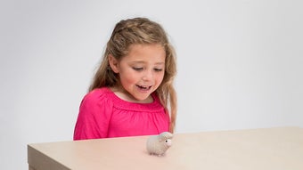 Bild 0 för 