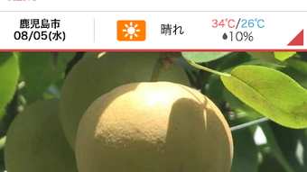 的第0张图片