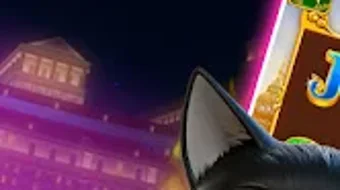 รูปภาพ 0 สำหรับ 