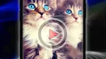 Cats Live Wallpaper