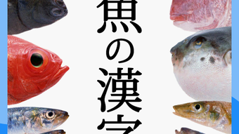 の画像0