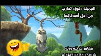 فيلم كرتون تنة ورنة بالعربي