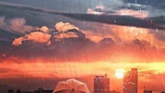  için 0 numaralı resim