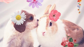 รูปภาพ 0 สำหรับ 