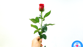 Hình ảnh 0 cho 