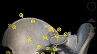  için 0 numaralı resim
