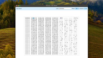 HexDump - Hex Viewer