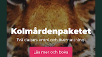 Afbeelding 0 voor 