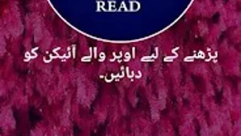 الصورة 0 لـ 
