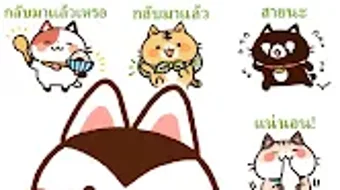  için 0 numaralı resim