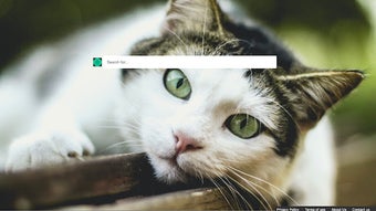 Bild 0 för 