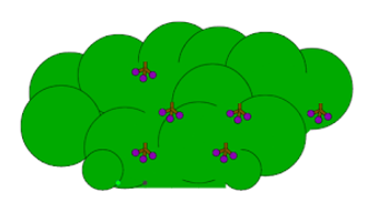 Image 0 for 