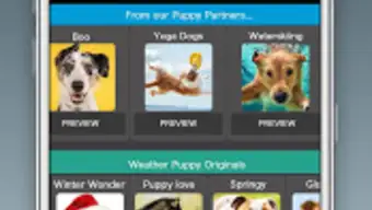 Weather PuppyRadarForecast  Pet Dog Pictures