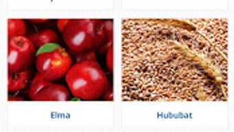  için 0 numaralı resim