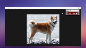 の画像0
