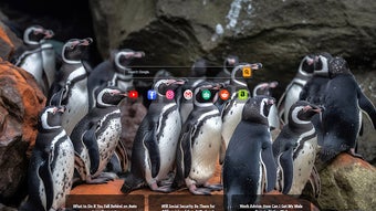 รูปภาพ 0 สำหรับ 