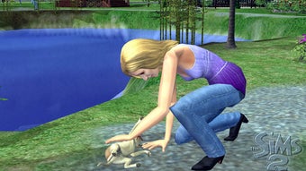 の画像0