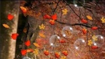  için 0 numaralı resim