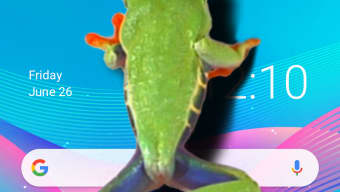Frog walking on screen joke - iFrog