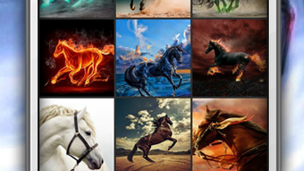  için 0 numaralı resim