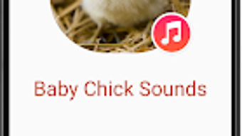 Hình ảnh 0 cho 
