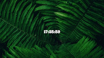 Изображение 0 для 