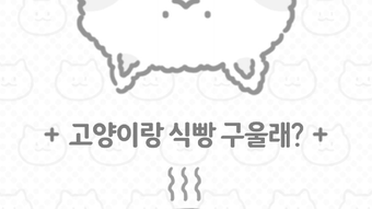 의 이미지 0