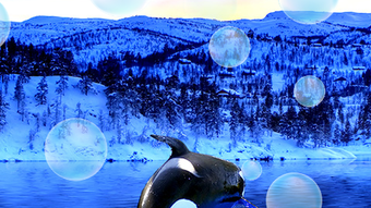 Ocean Fish Live Wallpapers