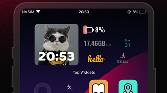 Top Widgets-Icons  Themes