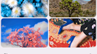  için 0 numaralı resim