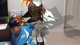 Bild 0 för 