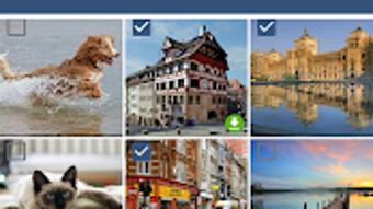  için 0 numaralı resim