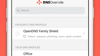 DNS Override