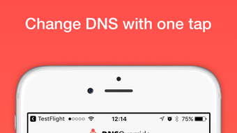 DNS Override