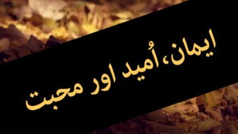 الصورة 0 لـ 