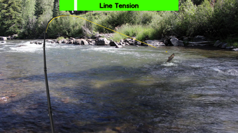 Fly Fishing Simulator HD