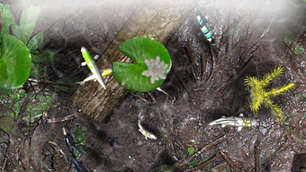  için 0 numaralı resim