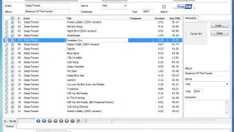FLAC To MP3 Converter!