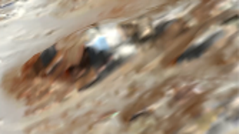 Imagem 0 para 