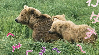 の画像0