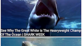 Discoveries Best Documentaries