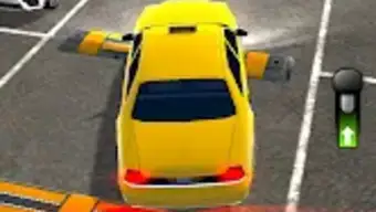 Car Driver 3D