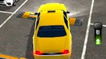 Car Driver 3D