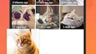 の画像0