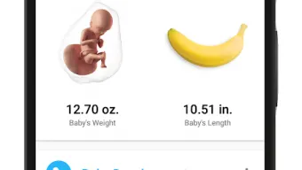 I'm Pregnant - Pregnancy Tracker
